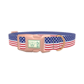 Patriotic Stars Dog Collar - plastic rose gold