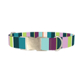 Striped Pattern Dog Collar - metal silver