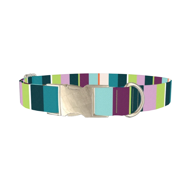 Striped Pattern Dog Collar - metal silver
