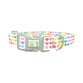 Rainbow Heart and Clover Dog Collar - plastic silver