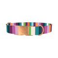 Color Stripe Dog Collar - metal rose gold