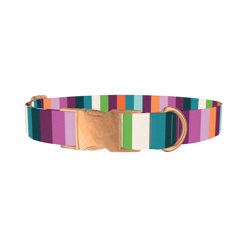 Color Stripe Dog Collar - metal rose gold