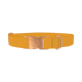 Shì Zǐ Chéng Persimmon Color Dog Collar - metal rose gold
