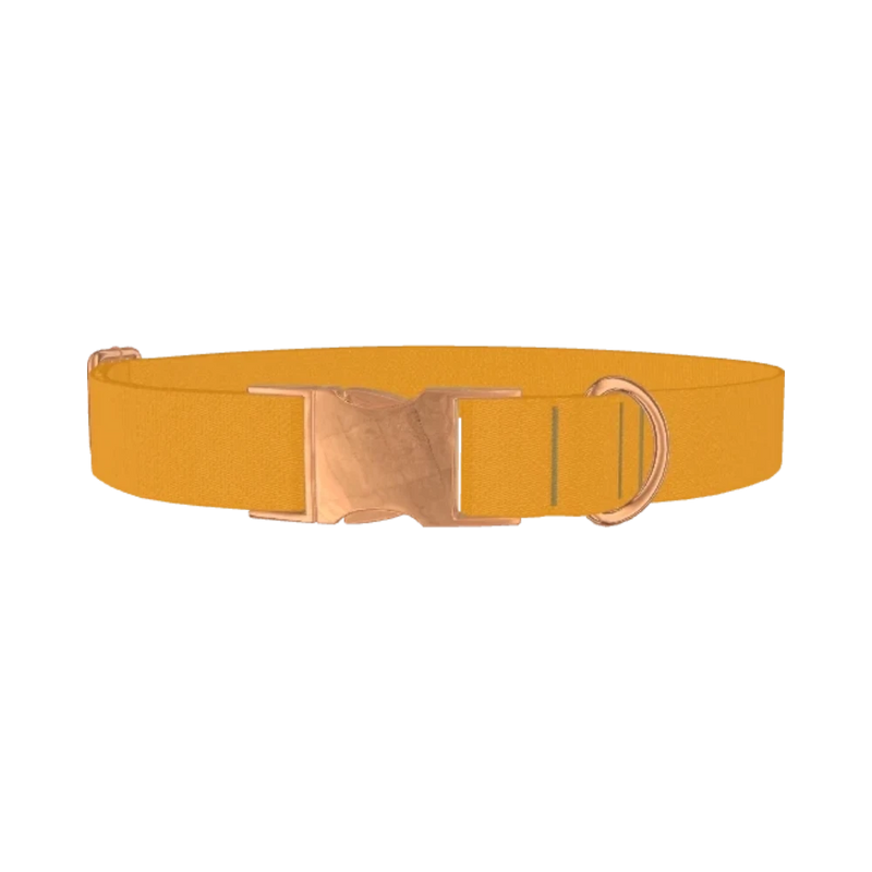 Shì Zǐ Chéng Persimmon Color Dog Collar - metal rose gold