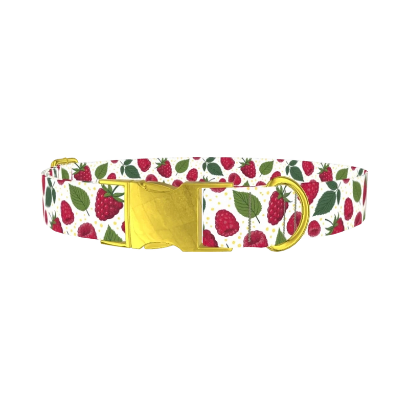 Raspberry Fruit Dog Collar - metal gold