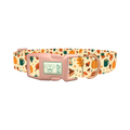 Cozy Fall Dog Collar - plastic rose gold