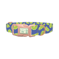 Lime Fruit Dog Collar - plastic rose gold