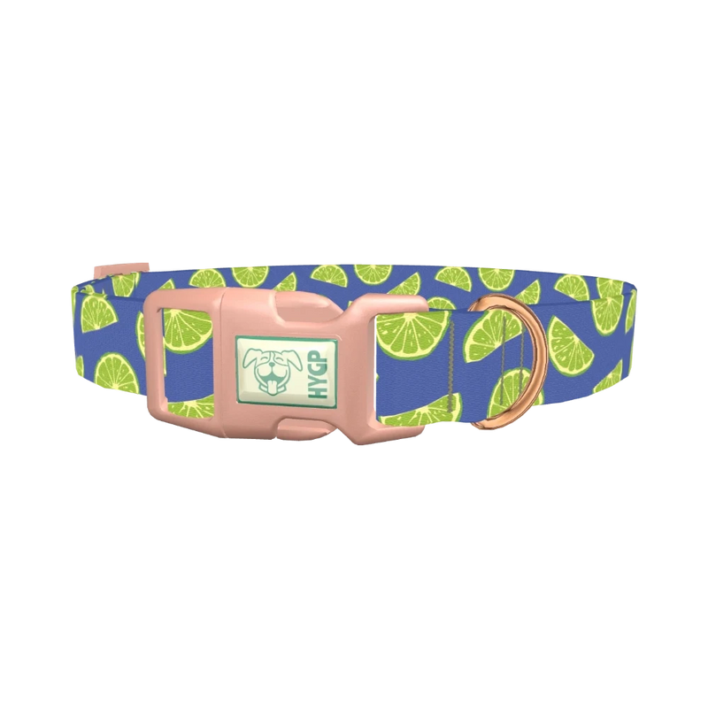 Lime Fruit Dog Collar - plastic rose gold