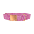 Pink Snake Pattern Dog Collar - metal rose gold