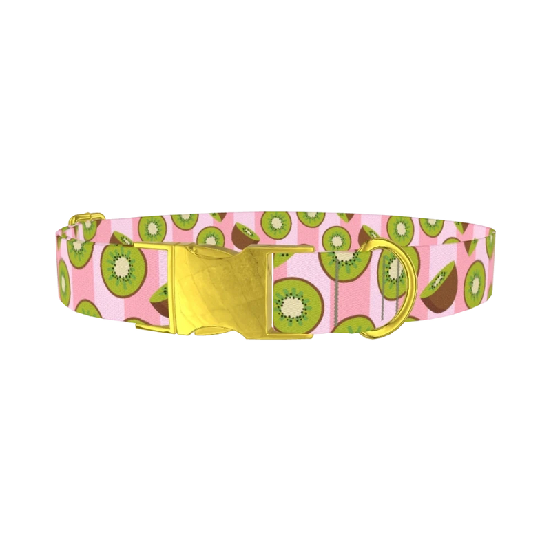 Pink Kiwi Pattern Dog Collar - metal gold
