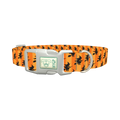 Halloween Witch Stripes Dog Collar - plastic silver