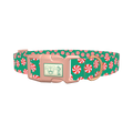 Christmas Candy Dog Collar - plastic rose gold