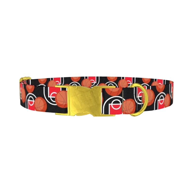 Basketball Court Dog Collar - metal gold