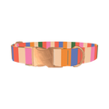 Colorful Stripe Pattern Dog Collar - metal rose gold