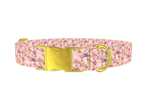 CHERRY_BLOSSOMS_3