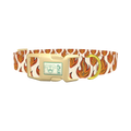 Blazing Flame Dog Collar - plastic gold