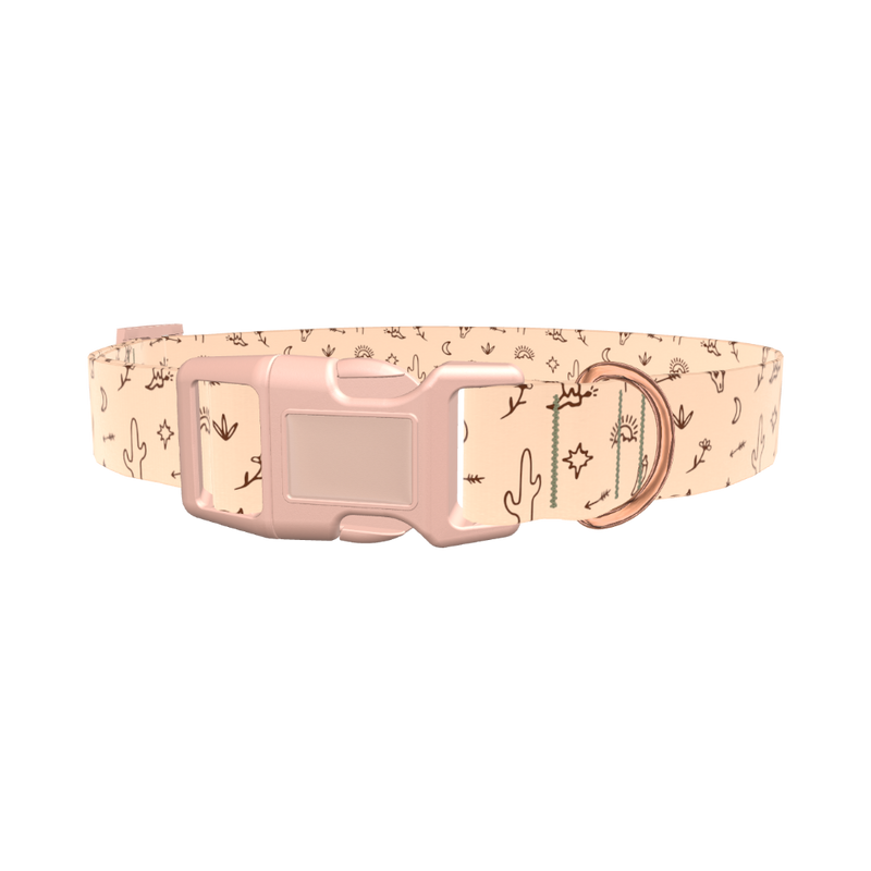 Southwestern Desert Dog Collar - plastic silver