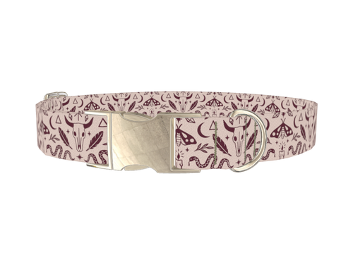 Halloween Witchy Dog Collar