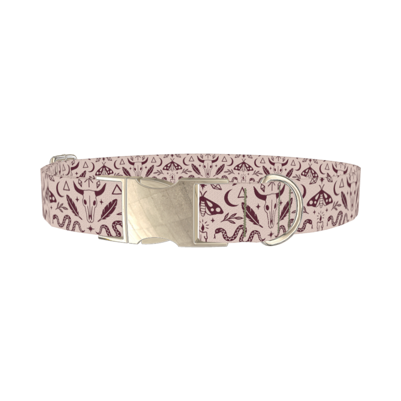 Halloween Witchy Dog Collar - metal silver
