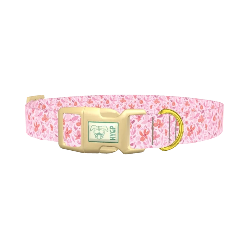 Floral Watercolor Dog Collar - plastic gold