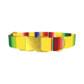 Yellow Mexican Stripe Dog Collar - metal gold