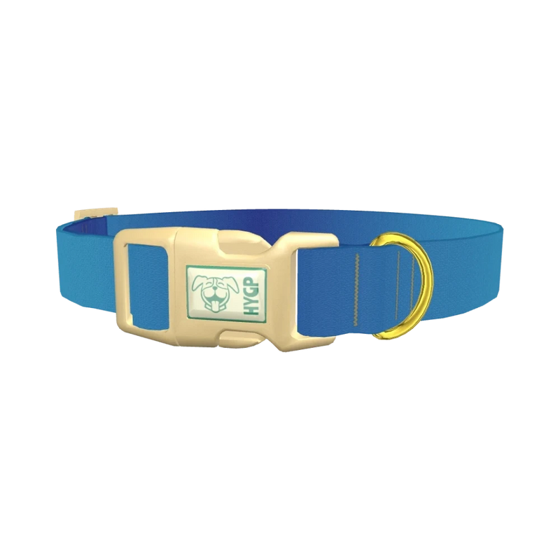 Oceanic Gradient Dog Collar - plastic gold