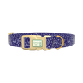 Mystical Witchcraft Dog Collar - plastic silver