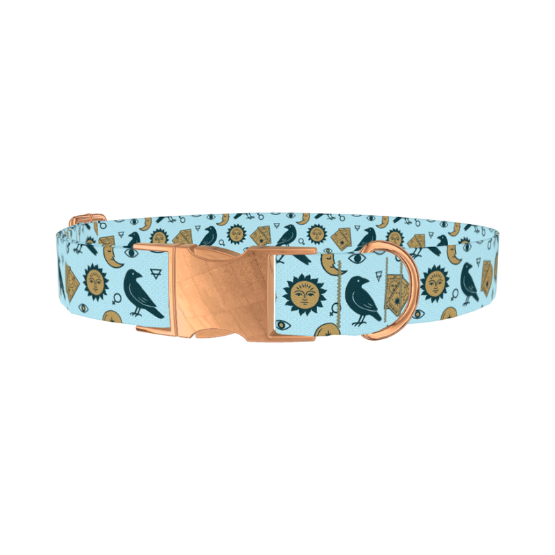 Mystical Crow Dog Collar - metal rose gold