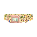 Beach Summer Dog Collar - plastic rose gold