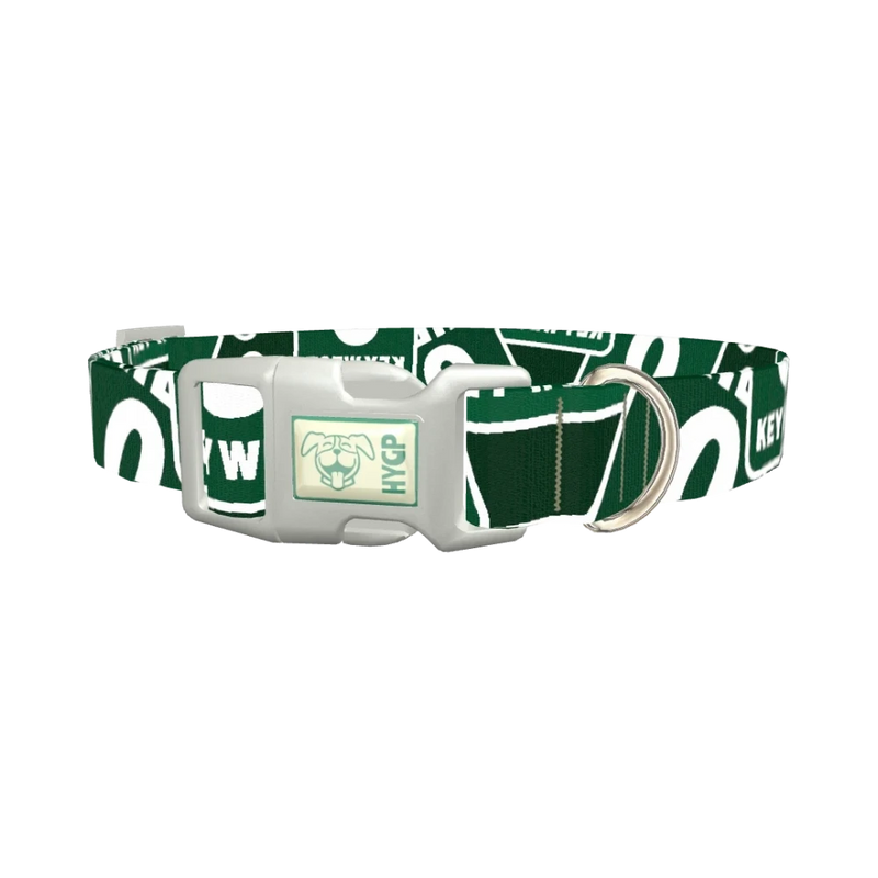 Key West Road Sign Dog Collar - plastic silver