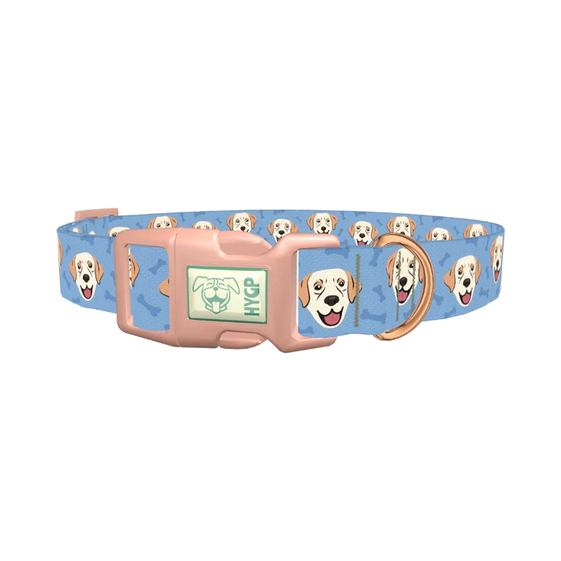 Labrador Dog Collar - plastic rose gold