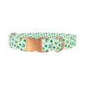 St. Patrick's Day Rainbow Dog Collar - metal rose gold