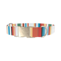 Multicolor Hexagon Stripe Dog Collar - metal gold