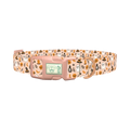 Spooky Potion Halloween Dog Collar - plastic rose gold