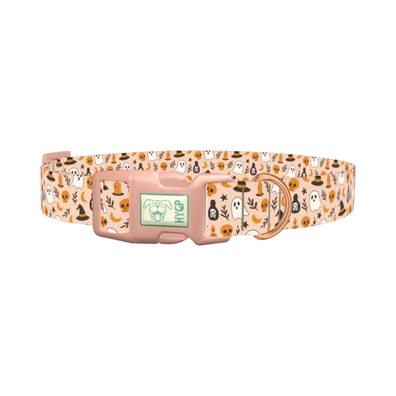 Spooky Potion Halloween Dog Collar - plastic rose gold