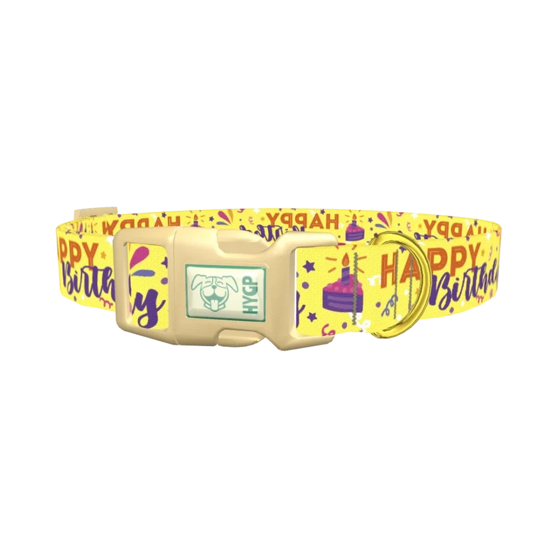 Birthday Cake Dog Collar - plastic gold