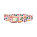 Dinosaur Mix Dog Collar - plastic rose gold