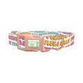 Positive Vibes Text Dog Collar - plastic rose gold