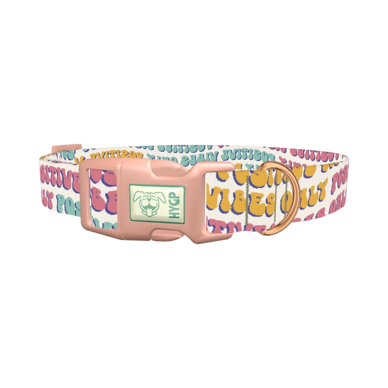 Positive Vibes Text Dog Collar - plastic rose gold