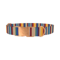 Colorful Striped Dog Collar - metal rose gold
