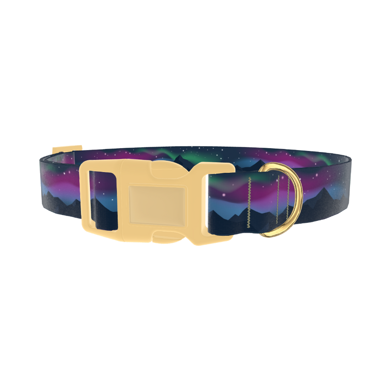 Northern Lights Dog Collar - plastic gold