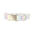Rainbow Polka Dot Dog Collar - metal silver