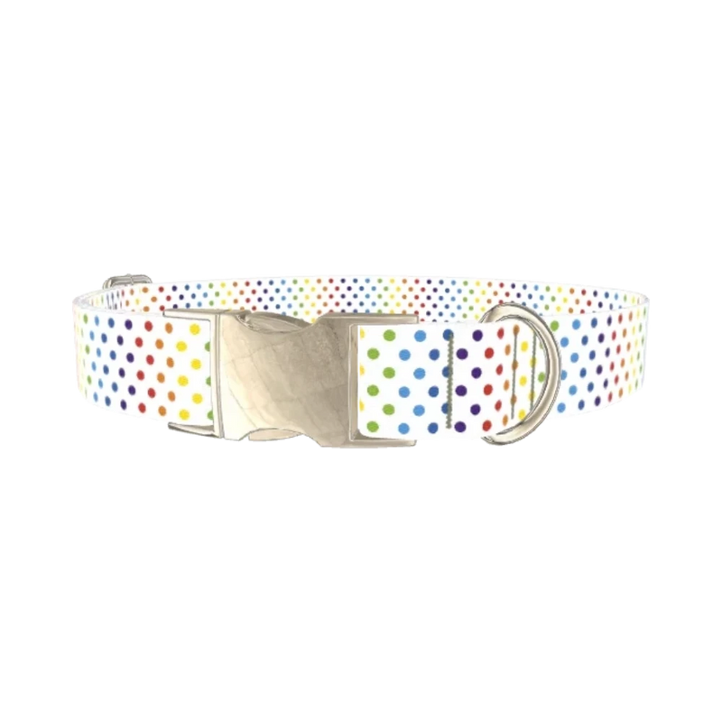 Rainbow Polka Dot Dog Collar - metal silver