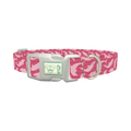 Pink Dolphin Dog Collar - plastic silver