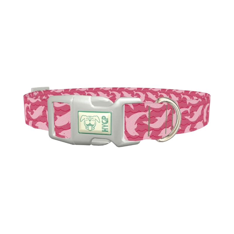 Pink Dolphin Dog Collar - plastic silver