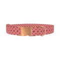 Geometric Star Dog Collar - metal rose gold