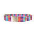 Color Block Stripes Dog Collar - metal silver