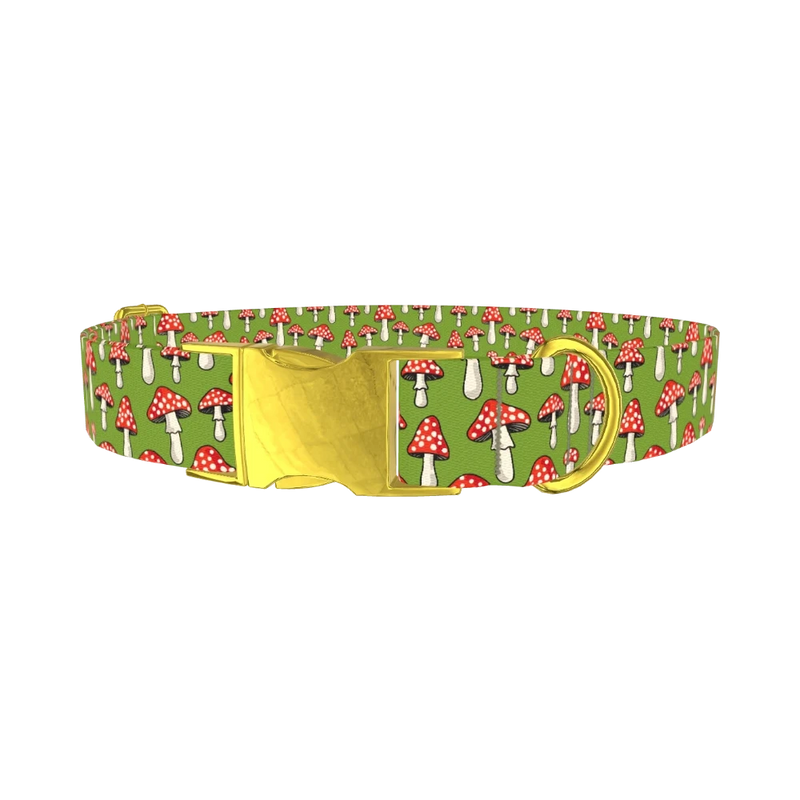 Fly Agaric Mushroom Dog Collar - metal gold