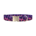 Tropical Sunset Dog Collar - metal silver