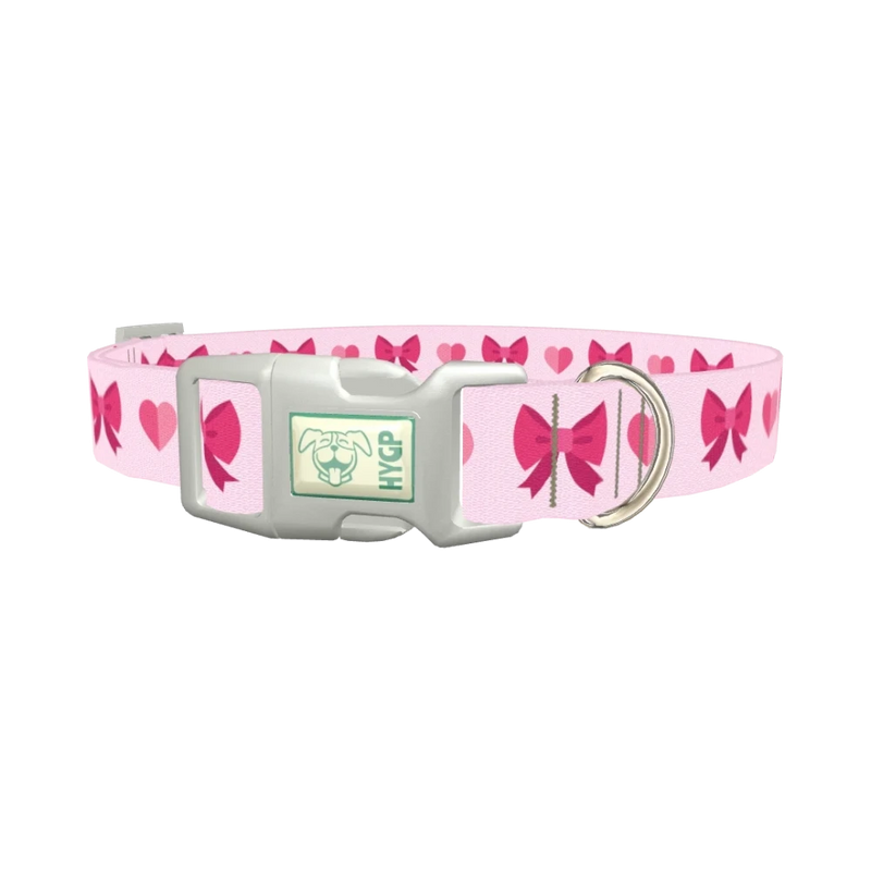 Heart Ribbon Dog Collar - plastic silver